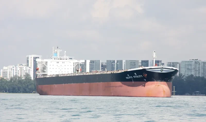 VITALITY Bulk Carrier IMO 9126778 photo 2