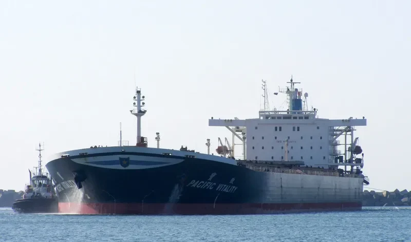 VITALITY Bulk Carrier IMO 9126778 photo 6
