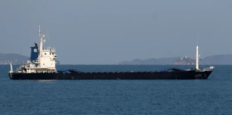 SAMSUNG NO.5 General Cargo IMO 9126845