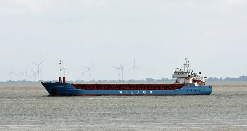WILSON BREST General Cargo IMO 9126900 photo 5