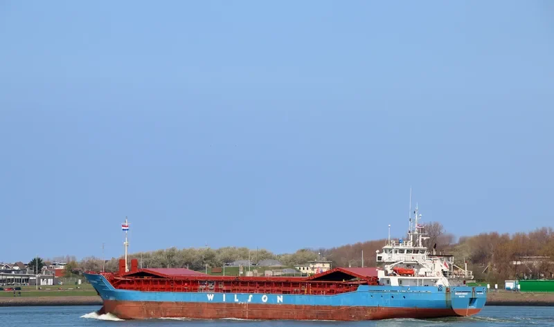 WILSON BREST General Cargo IMO 9126900 photo 8