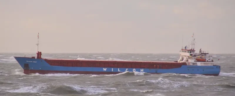 WILSON GRIP Container Ship IMO 9126912