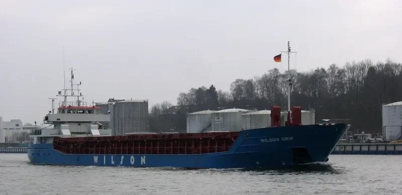 WILSON GRIP Container Ship IMO 9126912 photo 2