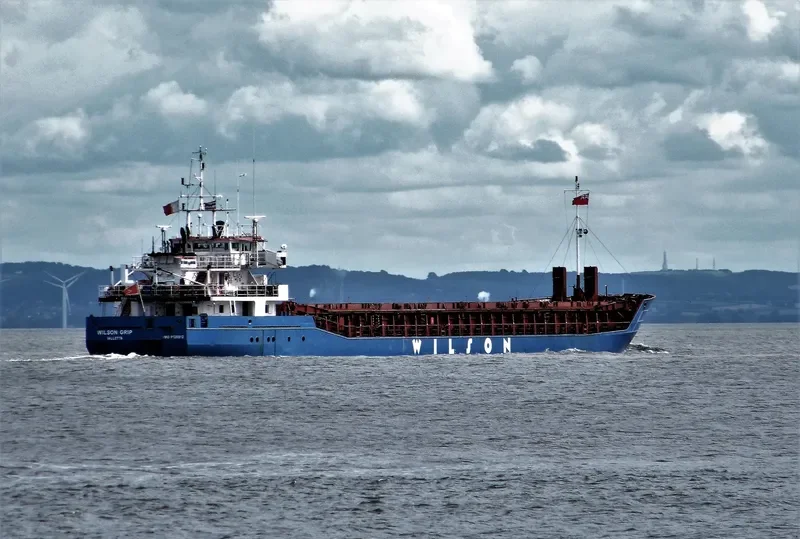 WILSON GRIP Container Ship IMO 9126912 photo 3