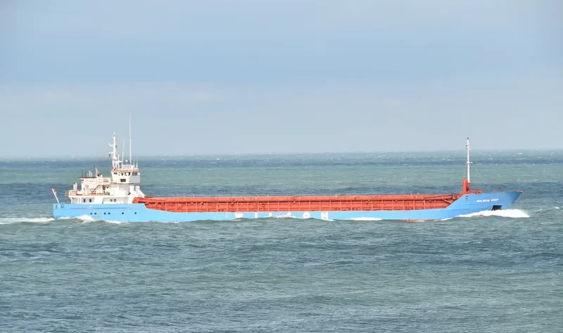 WILSON GRIP Container Ship IMO 9126912 photo 6