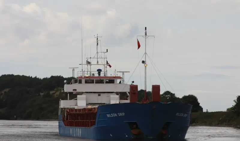 WILSON GRIP Container Ship IMO 9126912 photo 8