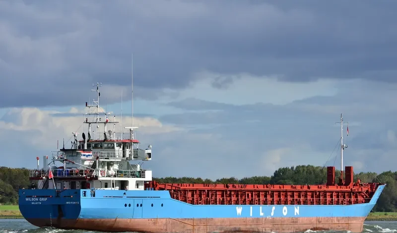 WILSON GRIP Container Ship IMO 9126912 photo 9