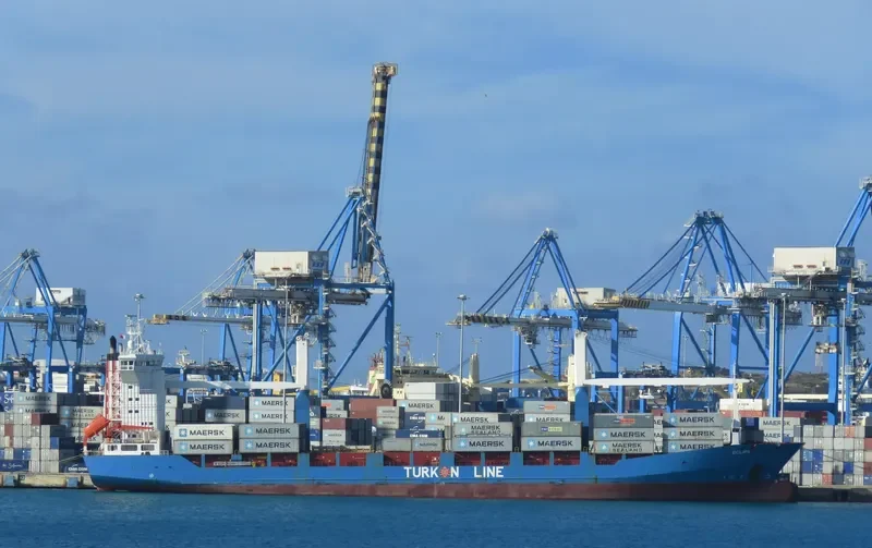 LEYLA KALKAVAN Container Ship IMO 9126924 photo 3