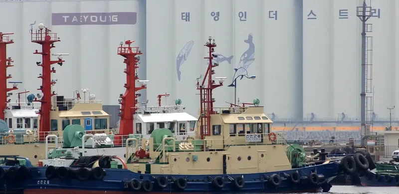 SUNJIN 2HO General Cargo IMO 9126936 photo 4
