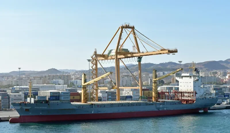 MSC IZMIR F Container Ship IMO 9127021