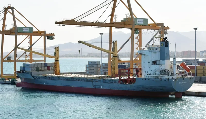 MSC IZMIR F Container Ship IMO 9127021 photo 2