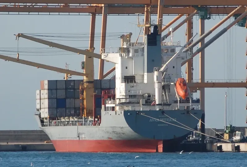 MSC IZMIR F Container Ship IMO 9127021 photo 3
