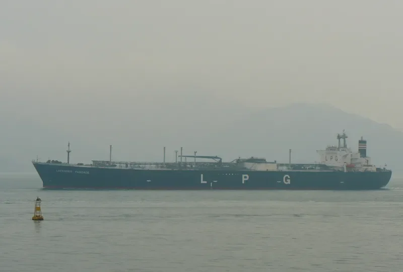 LAVENDER PASSAGE General Cargo IMO 9127033 photo 6