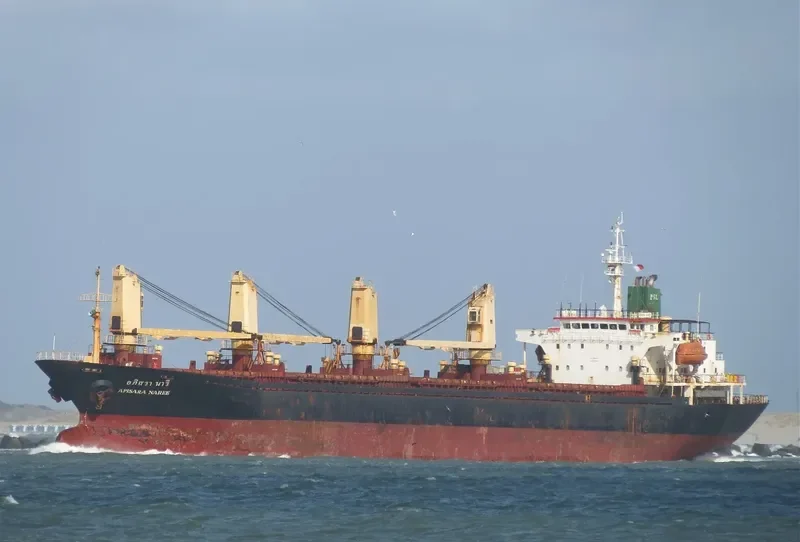 APISARA NAREE Bulk Carrier IMO 9127045