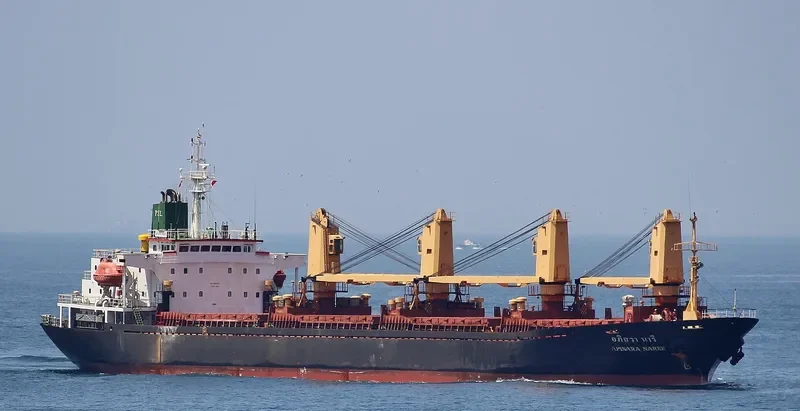 APISARA NAREE Bulk Carrier IMO 9127045 photo 2