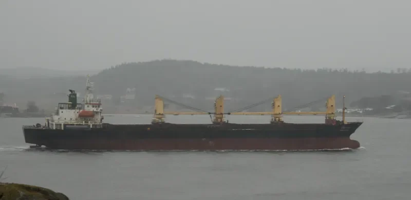 APISARA NAREE Bulk Carrier IMO 9127045 photo 6