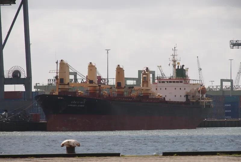 APISARA NAREE Bulk Carrier IMO 9127045 photo 7