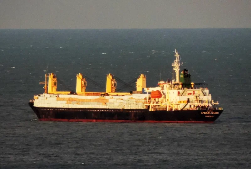 APISARA NAREE Bulk Carrier IMO 9127045 photo 9