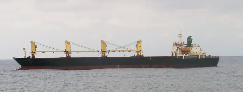 APISARA NAREE Bulk Carrier IMO 9127045 photo 10