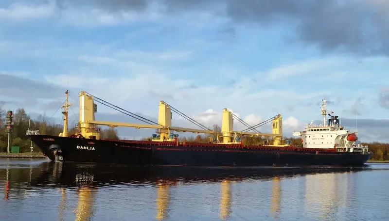 DAHLIA Bulk Carrier IMO 9127071 photo 3