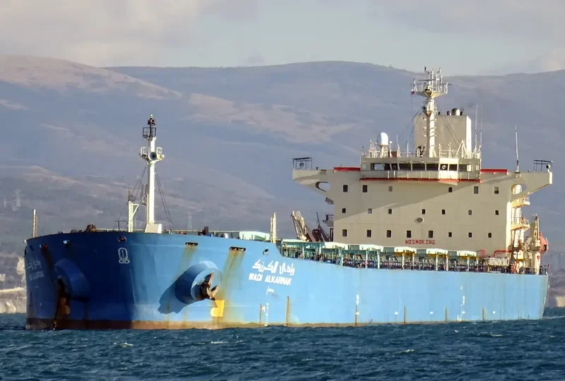 WADI ALKARNAK Bulk Carrier IMO 9127136 photo 2