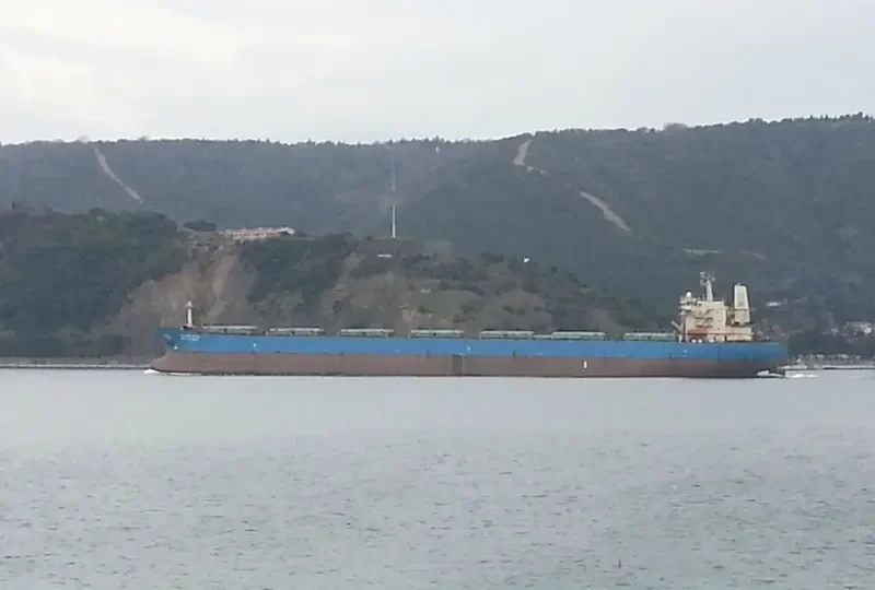 WADI ALKARNAK Bulk Carrier IMO 9127136 photo 4