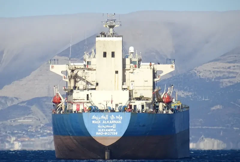 WADI ALKARNAK Bulk Carrier IMO 9127136 photo 6
