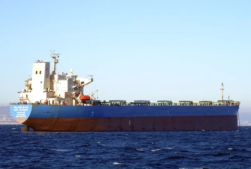 WADI ALKARNAK Bulk Carrier IMO 9127136 photo 7