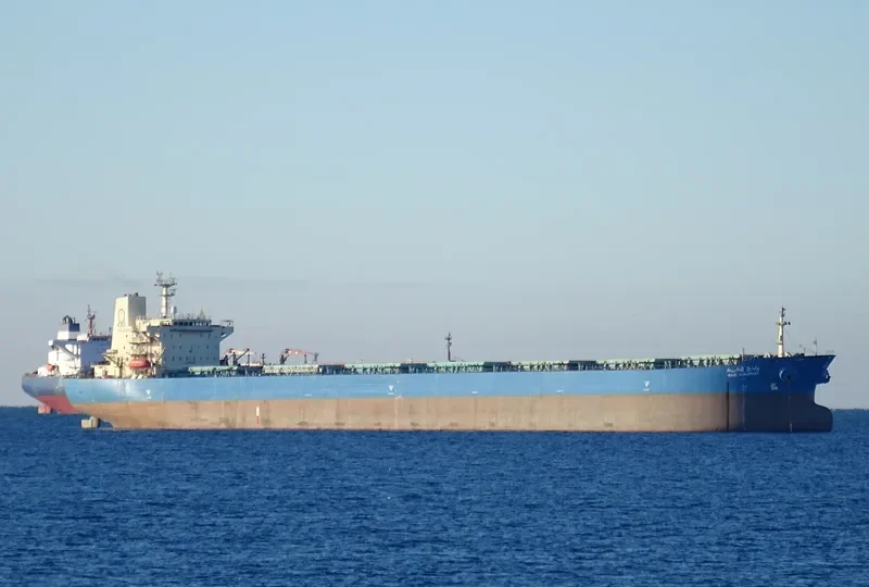 WADI ALKARNAK Bulk Carrier IMO 9127136 photo 8