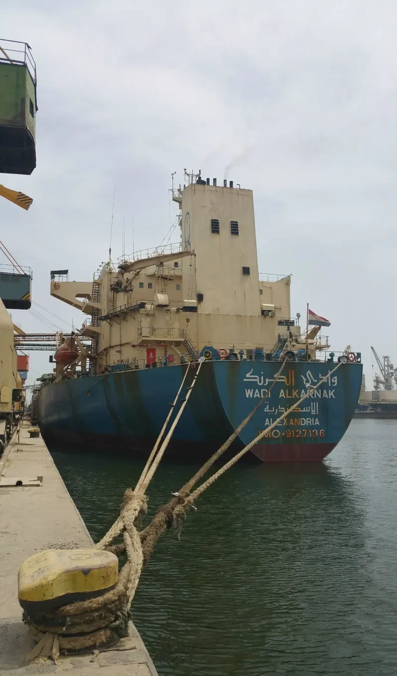 WADI ALKARNAK Bulk Carrier IMO 9127136 photo 10