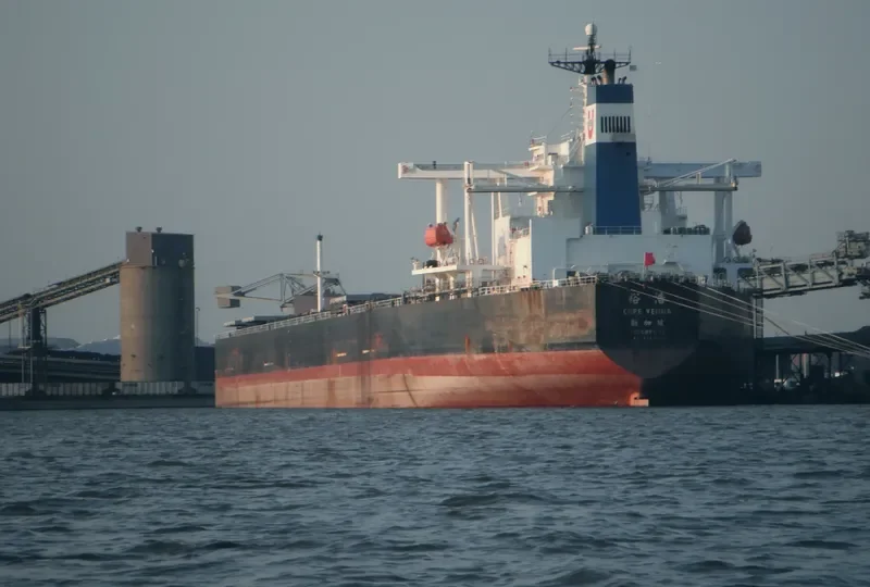 CAPE VENUS Bulk Carrier IMO 9127423 photo 4
