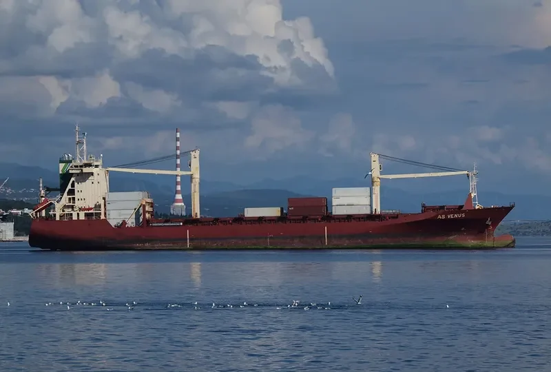 AS VENUS Container Ship IMO 9127514 photo 4