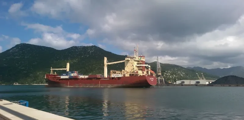 TOR Container Ship IMO 9127526 photo 2