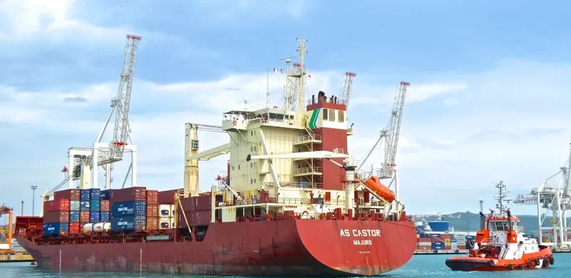 TOR Container Ship IMO 9127526 photo 4