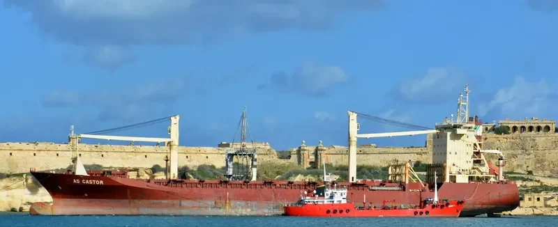 TOR Container Ship IMO 9127526 photo 9