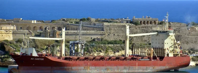 TOR Container Ship IMO 9127526 photo 10