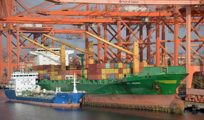 MSC HIMANSHI Container Ship IMO 9127540 photo 2