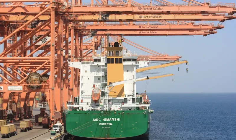 MSC HIMANSHI Container Ship IMO 9127540 photo 3
