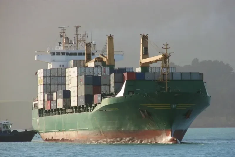 MSC HIMANSHI Container Ship IMO 9127540 photo 4