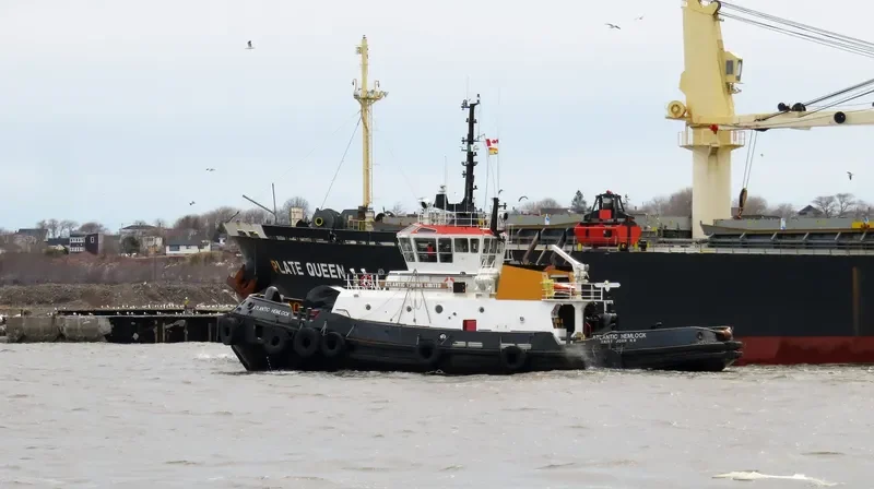 ATLANTIC HEMLOCK General Cargo IMO 9127588 photo 3