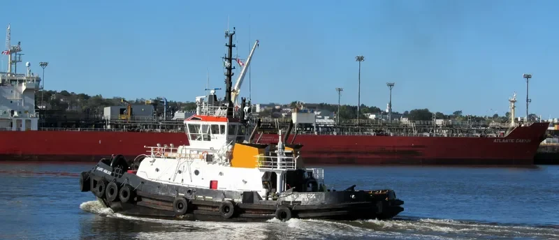 ATLANTIC HEMLOCK General Cargo IMO 9127588 photo 5