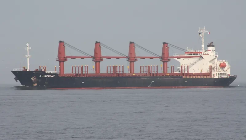 FESTIVAL Bulk Carrier IMO 9127681