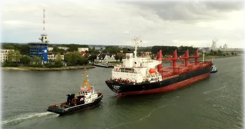 FESTIVAL Bulk Carrier IMO 9127681 photo 3
