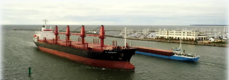 FESTIVAL Bulk Carrier IMO 9127681 photo 4