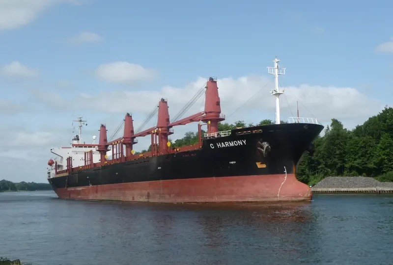 FESTIVAL Bulk Carrier IMO 9127681 photo 5