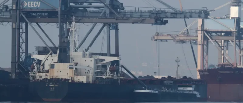 FESTIVAL Bulk Carrier IMO 9127681 photo 7