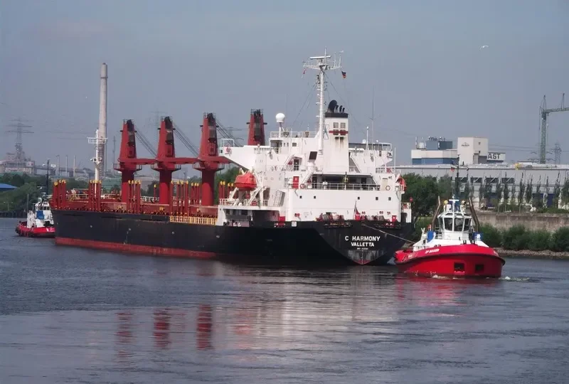 FESTIVAL Bulk Carrier IMO 9127681 photo 9