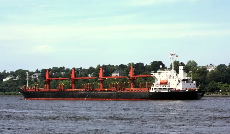 FESTIVAL Bulk Carrier IMO 9127681 photo 10