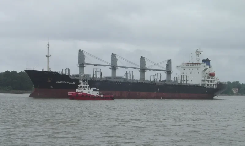 RUI CHANG HAI Bulk Carrier IMO 9127954 photo 4