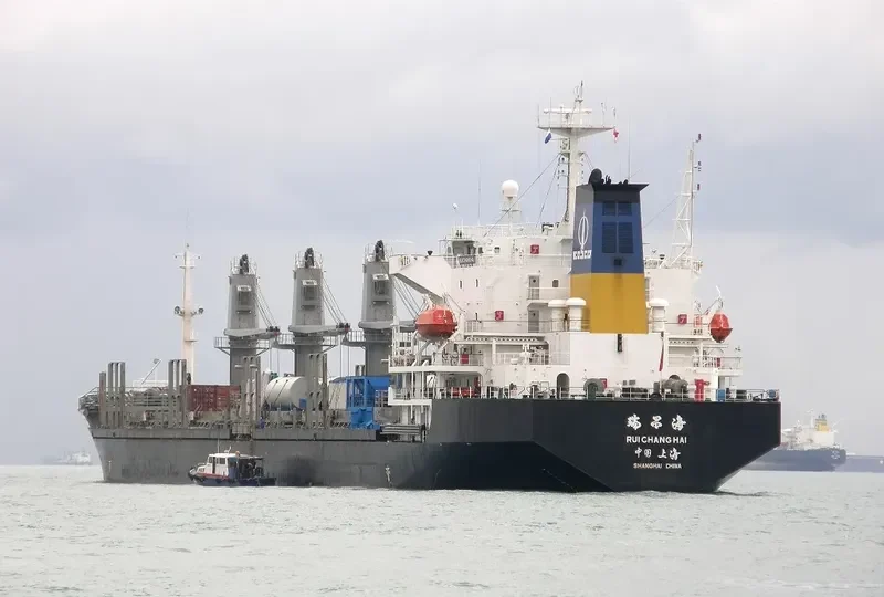 RUI CHANG HAI Bulk Carrier IMO 9127954 photo 6